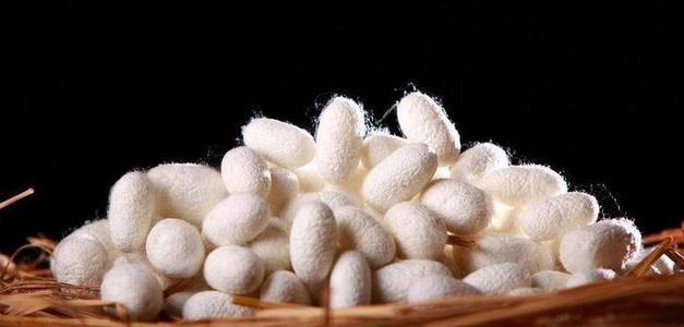 100% Pure Natural Silk Fibroin Powder Silk Powder Silk Peptide Powder
