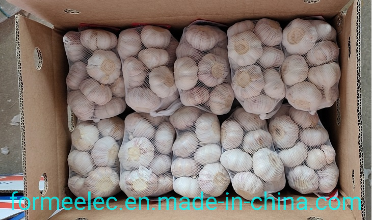 5.0cm Fresh Garlic Chinese Normal White Garlic Pure White Garlic