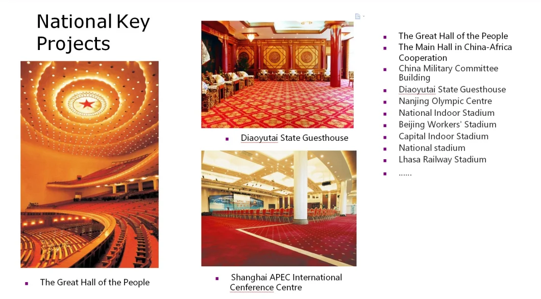 Axm-RM040-Axminster Wool Carpet High Quality Wall to Wall Luxury Banquet Hotel Room Carpet