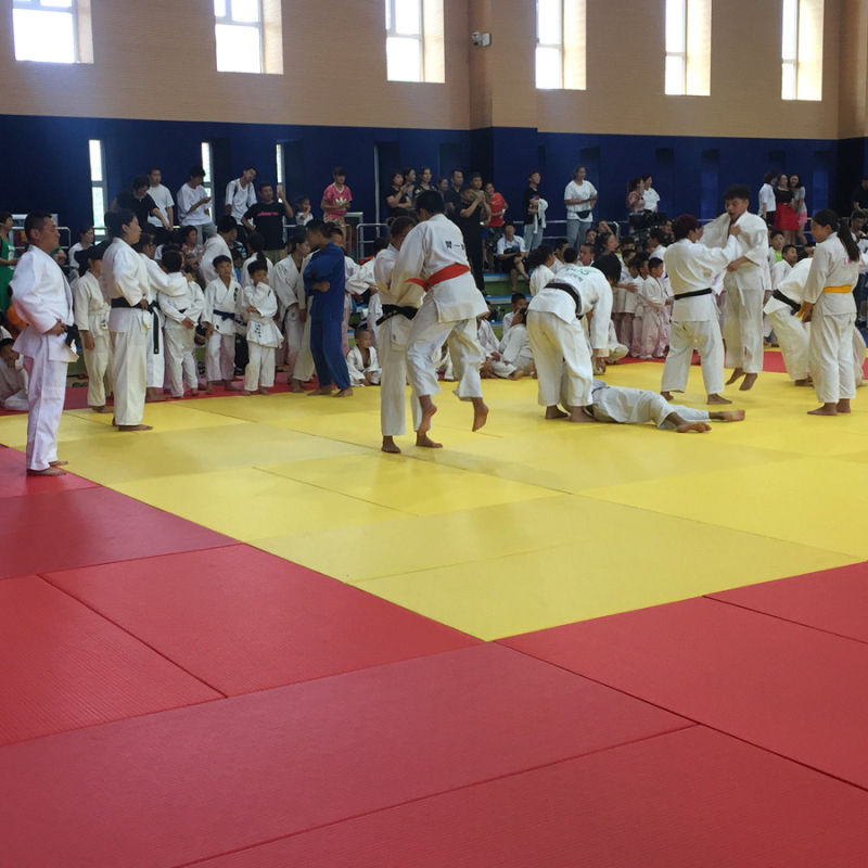 EVA Tatami Mat, Rollout Mat, Judo Mat, Sports Mat
