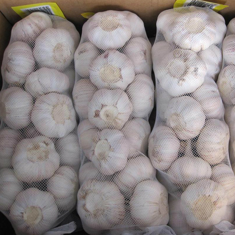 Fresh Normal White Garlic/Pure White Garlic From China