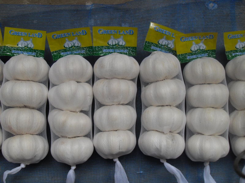 Fresh Normal White Garlic/Pure White Garlic From China