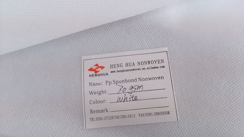 TNT Textile Fabric Ppsb Non Woven for Greenhouse Weed Mat Ground Cover