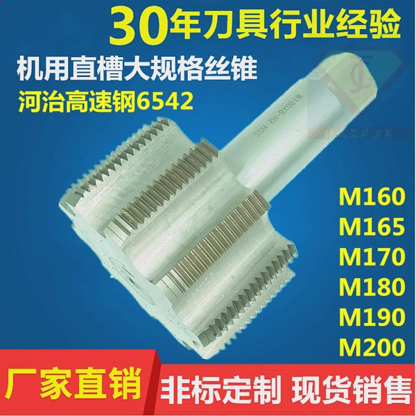 Customized Ultra Large Size High Speed Steel M80X6 Screw Tap
