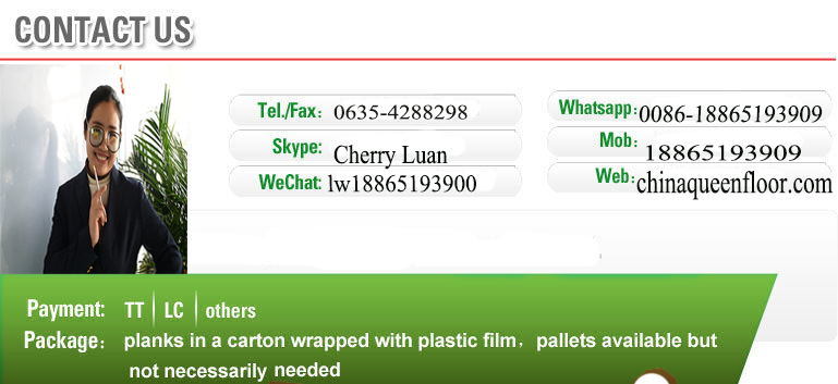 Protex High Quality Thick 2mm/3mm/4mm/5mm PVC Vinyl Floor Covering Plank Flooring