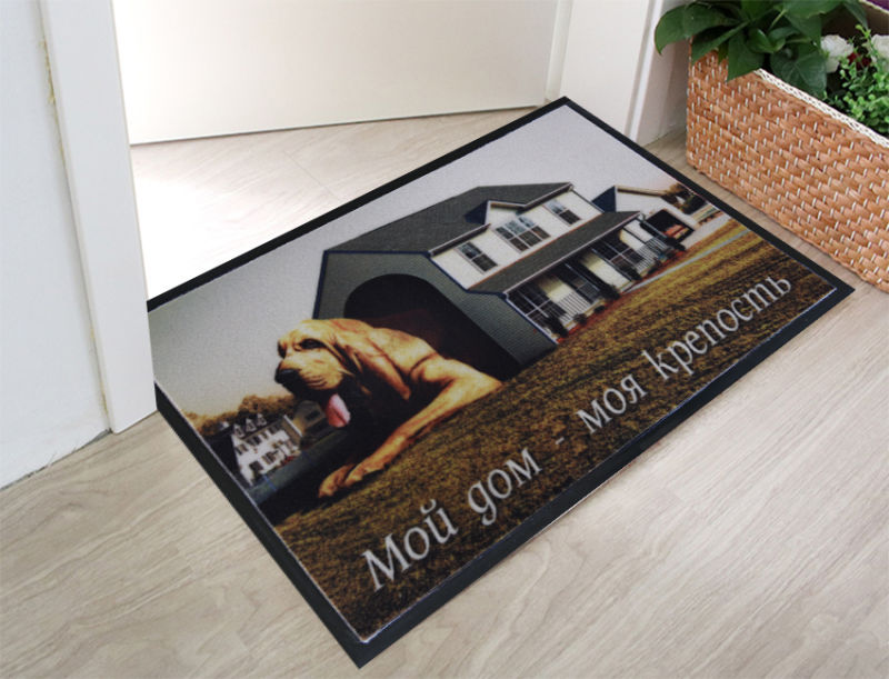 Indoor Outdoor Doormat Entrance Rug Wiper 45X75cm Floor Mat
