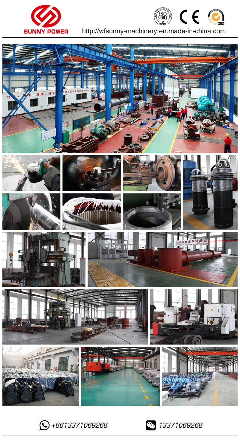 Diesel Engine Driven Mixed Flow Pump Water Pump for Large Scale Farmland Irrigation