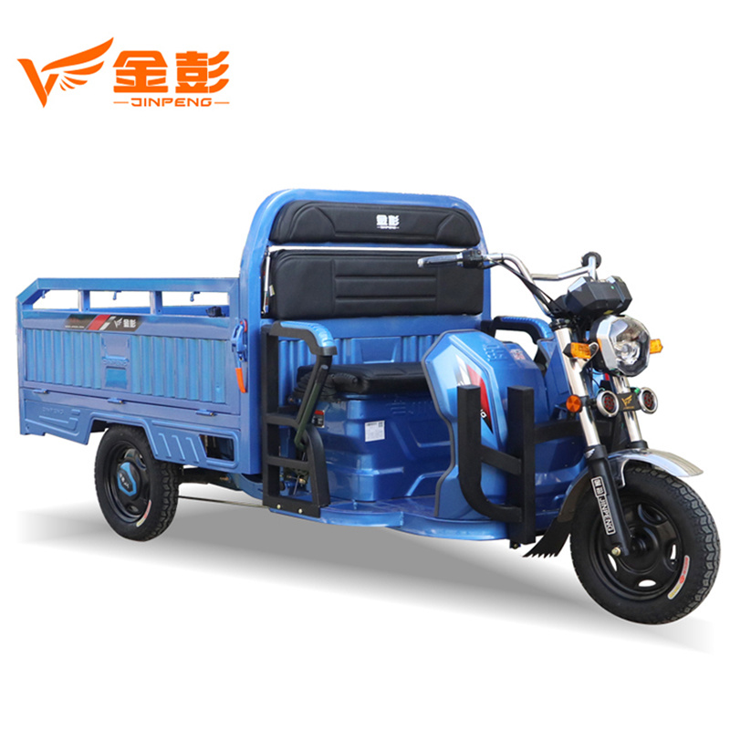 Electric Cargo Tricycle Mini Pickup Truck with Cargo Box for Cargo