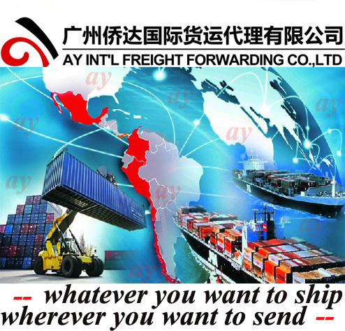 Shipping Freight /Ocean Freight From China to Callao Peru