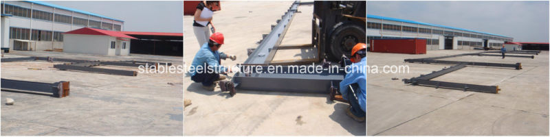 Multi-Span Steel Structure Logistic Warehouse Frame