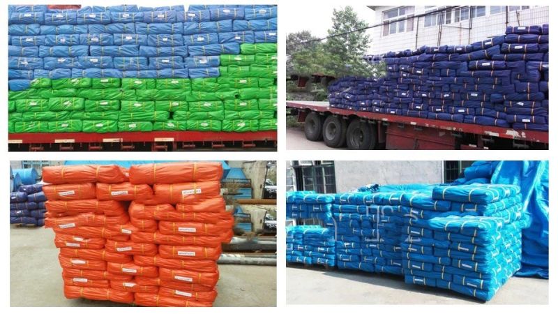 PE Tarpaulin Roll/PVC /PE Tarpaulin/ Polyethylene Tarps Tarpaulin