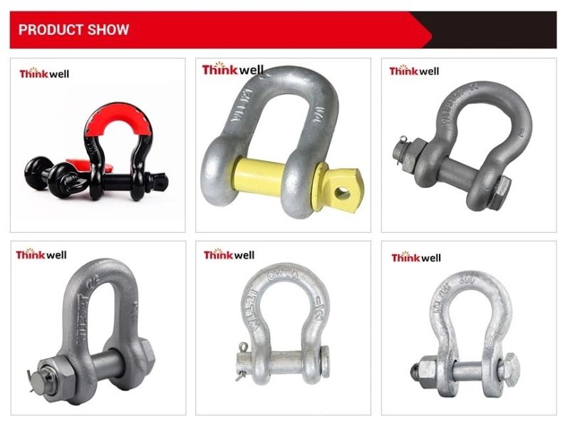 Wholesale European D Ring Chain Shackle