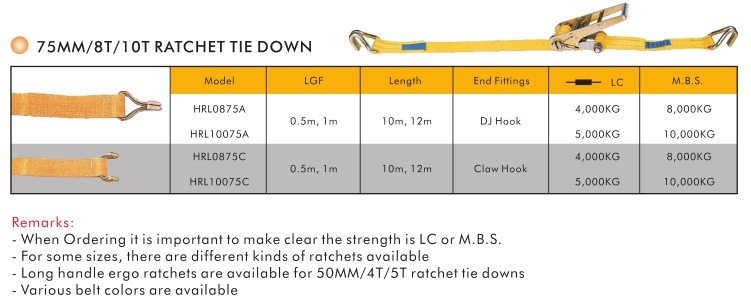 5t Ratchet Tie Down Cargo Lashing with High Quality