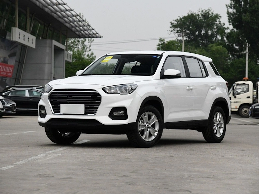 Chinese 4WD/4X4 Automatic 2.0L off Road Vehicle Gas SUV