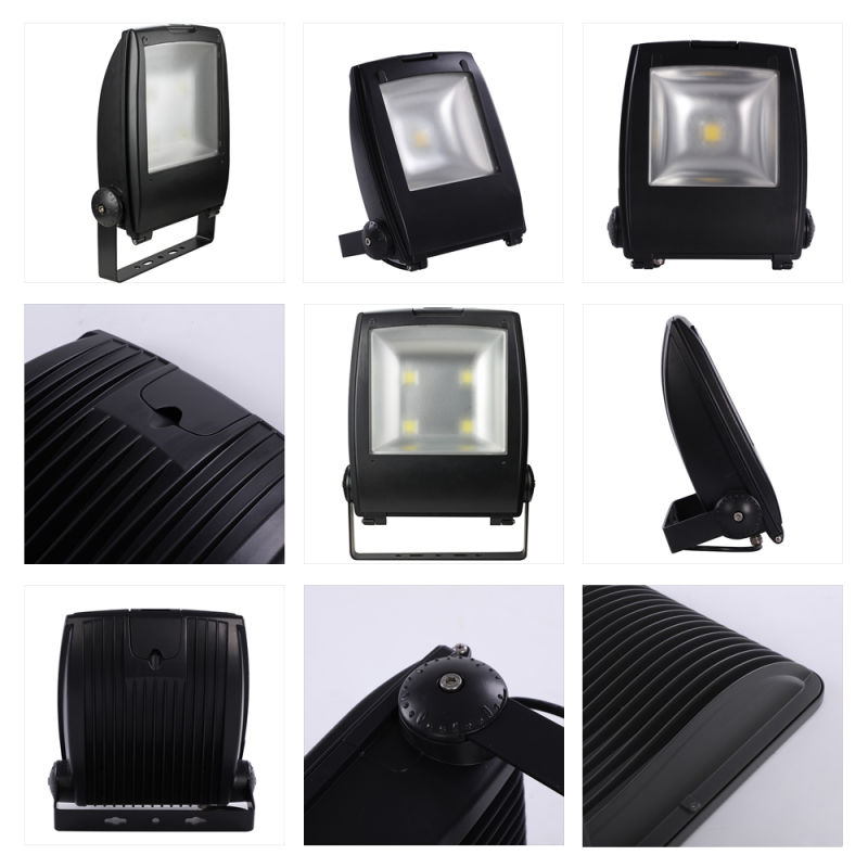 Good Price LED Flood Light 10W 30W 50W 100W 200W for Logistic Lightings