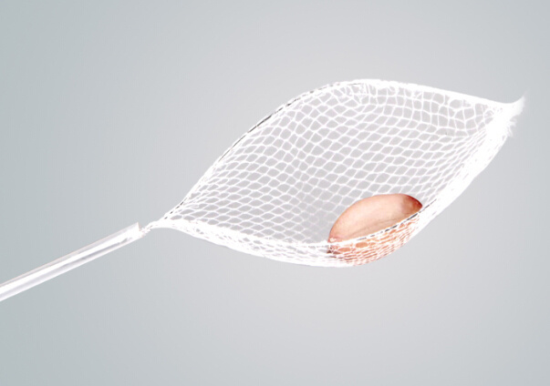 2.3mm China First Supplier Retrieval Net -Endoscopic Roth Loop Net