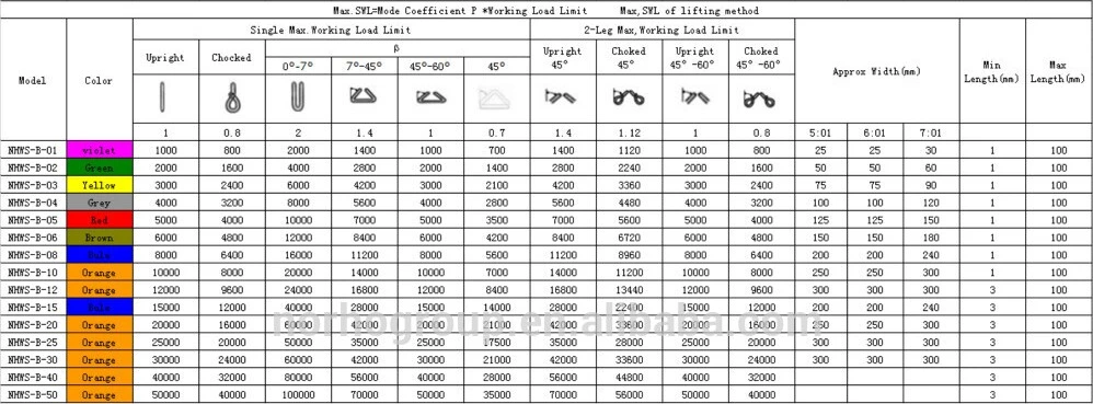 100% Polyester for Lifting Flat Webbing Sling (NHWS-B)