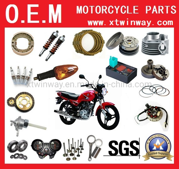 Ax100 Motorcycle Hard-Ware Motorcycle Rear Fork Motorcycle Parts