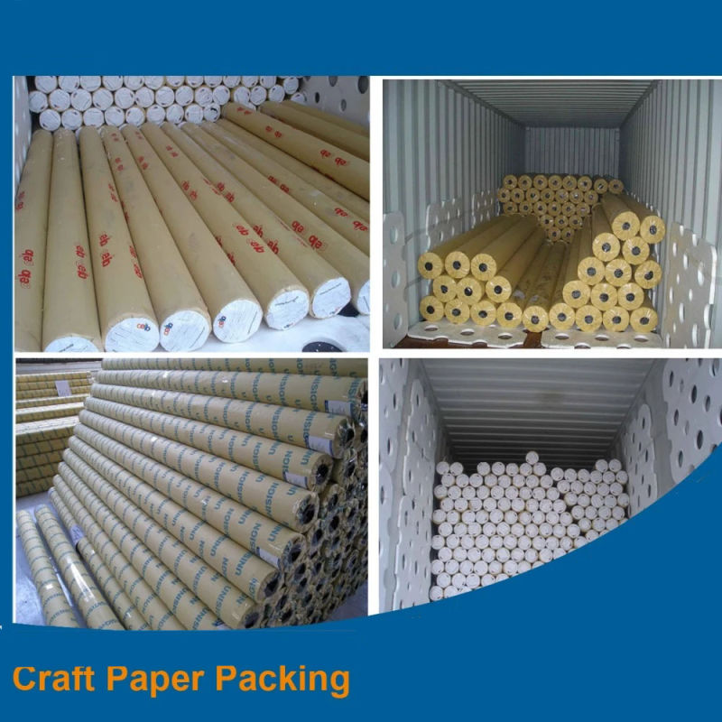 PE Tarpaulin Roll/PVC /PE Tarpaulin/ Polyethylene Tarps Tarpaulin