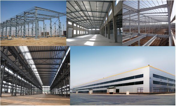 Custom Made Design Steel Structure Prefab Plant Building