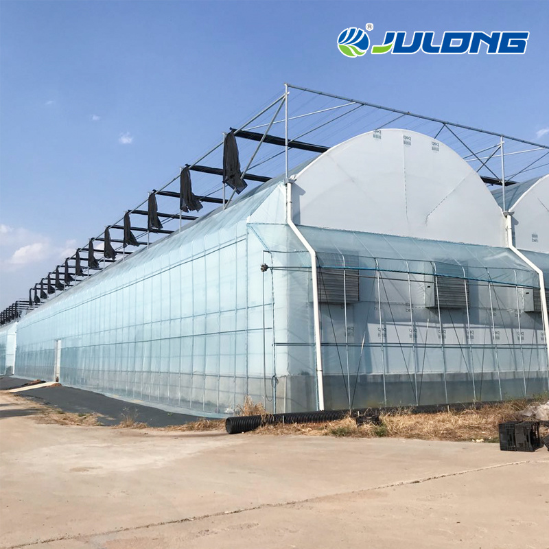 Modern Agriculture Technology Tomatoes Farming Greenhouse for Horticultural Projects