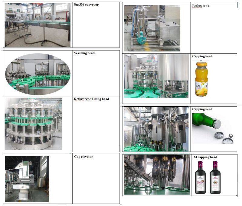 Automatic Glass Bottle Fruit Juice Filler Filling Machine