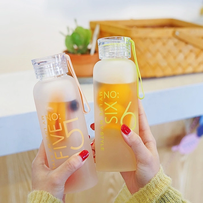 Hot Sale Fashionable Glass Bottle 480ml Frosted Glass Water Bottle with Silicone Rope Plastic Lid