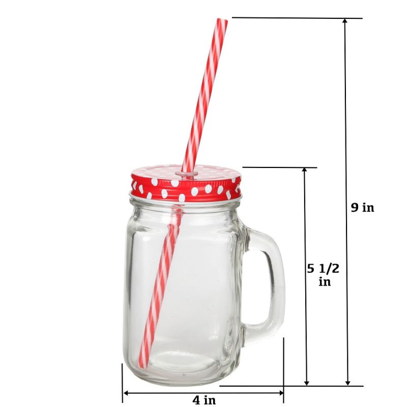 Mason Jar Drinking Mug with Glass Handle