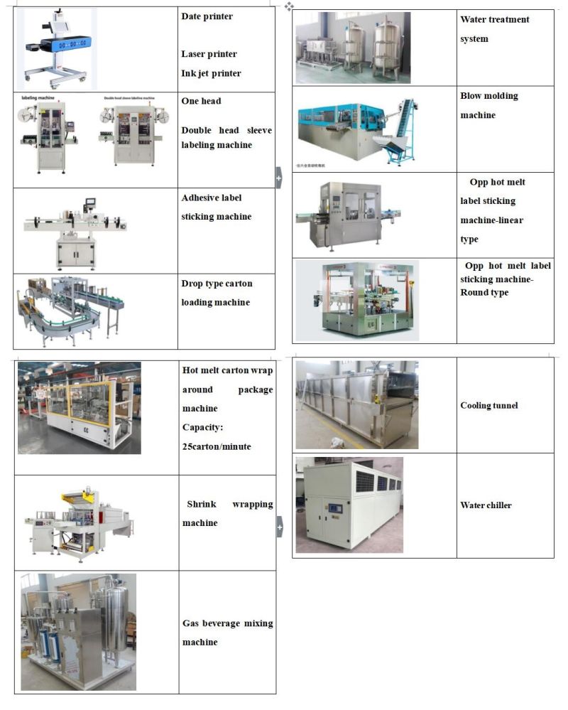 Automatic Bottle Carbonated Drink Beer Bottling Washing Capping Filling Machine