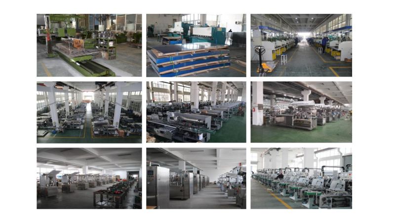 Multi-Function Rotary Bag Given Pouch Packaging Machine for Pickles