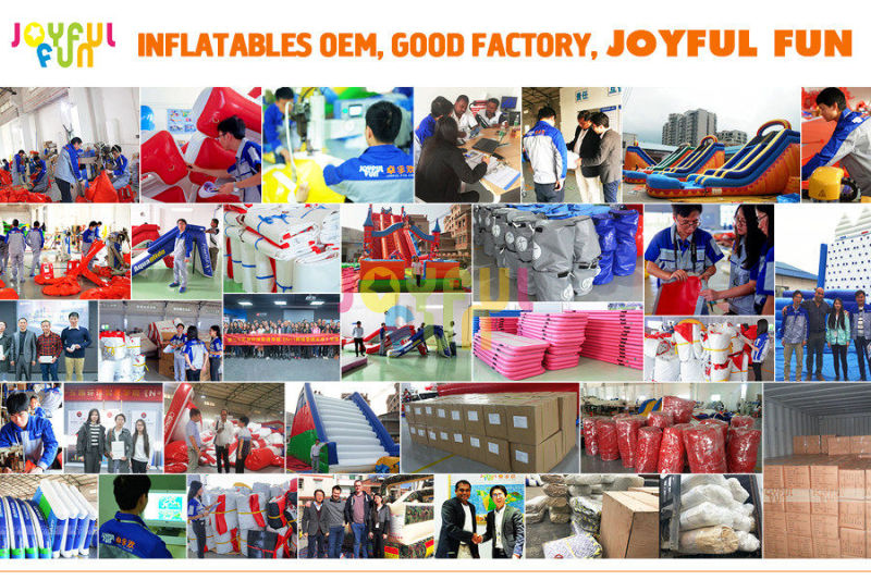 Joyful Fun Wholesale Commercial Big Large Inflatable Water Slide