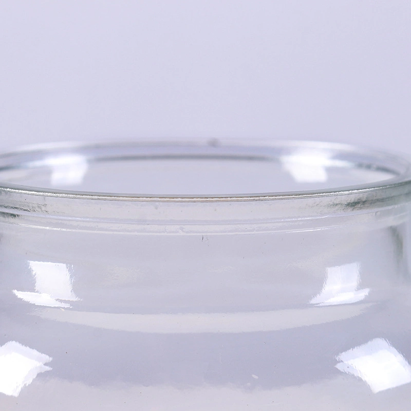 Glass Tea Canister Jar with Glass Lid Glass Storage Jar Candy Jar