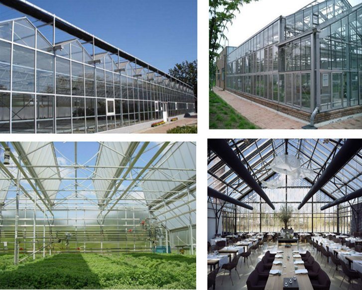 Agriculture Glass/Tempering Glass/Float Glass Greenhouse for Tomato/Fruit