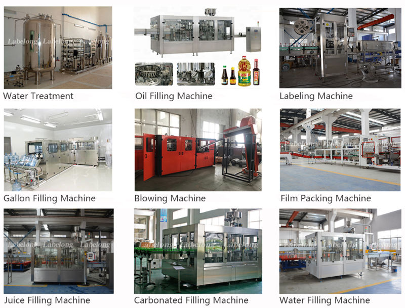 Fresh Juice Bottle Juice Filling Machine Solution