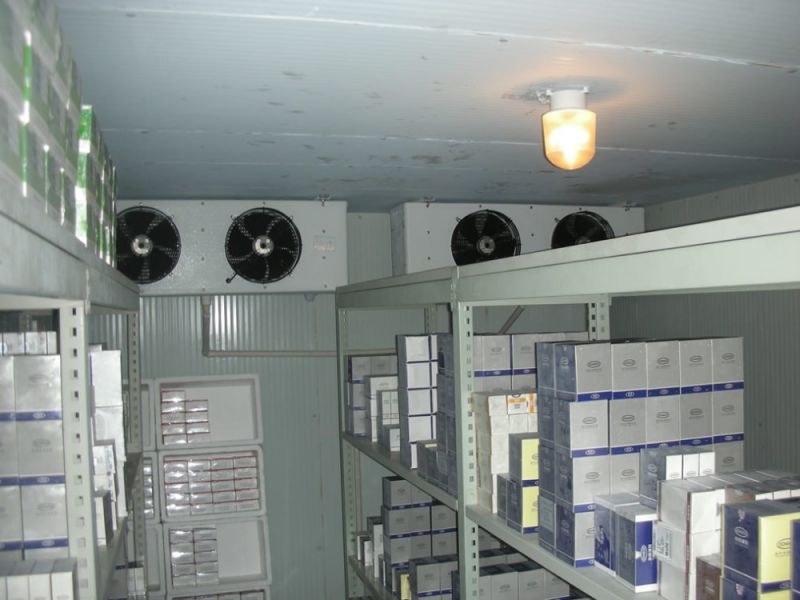 Cold Storage Room and Freezer for Fresh-Keeping with High Efficiency