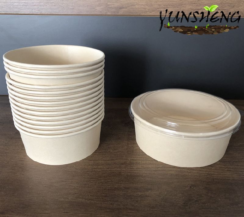 Recyclable Composable Biodegradable Disposable Tableware Food Packaging Bowl