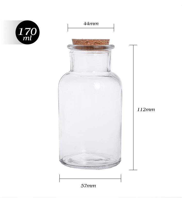 Glass Spice Jars Reusable Spice Jars Bottles Glass Containers with Cork