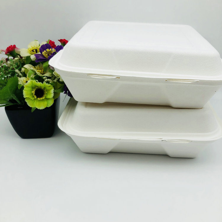 Disposable Sugarcane Pulp Bagasse Food Container 3 Compartment Clamshell