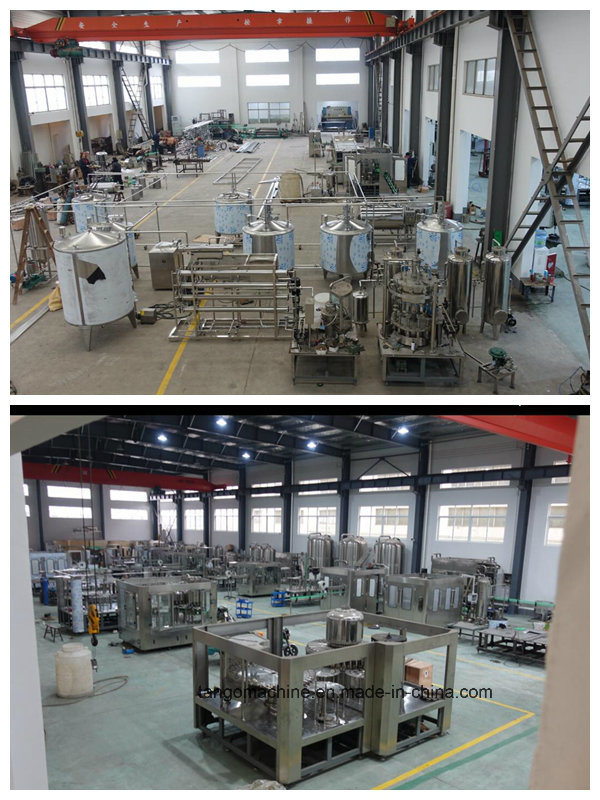 Complete Fruit Juice Processing Production Line for Glass Bottle