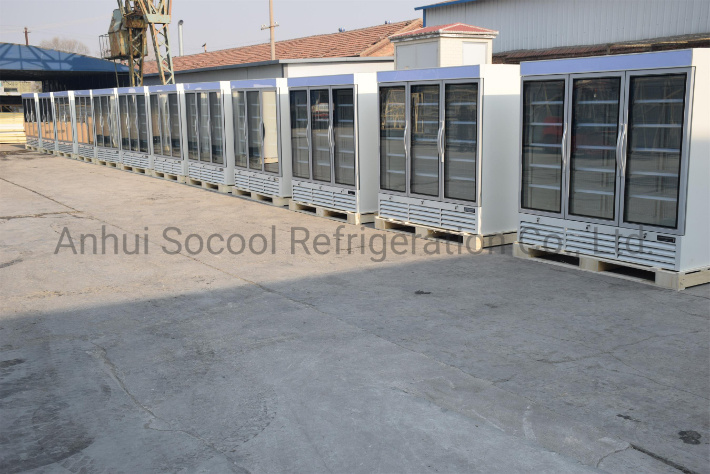 Single Glass Door Commercial Freezer for Frozen Foods and Ice Cream