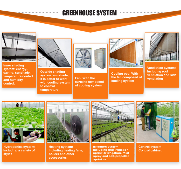 Wholesale Polycarbonate Sheet Growing Greenhouse for Vegetable/Tomato/Garden