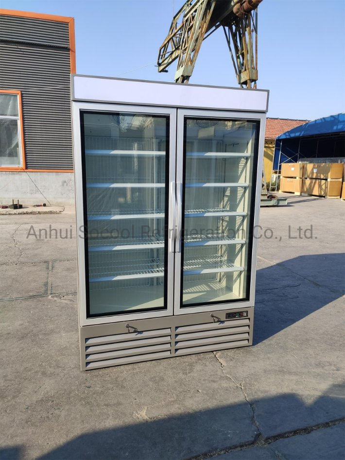 Single Glass Door Commercial Freezer for Frozen Foods and Ice Cream