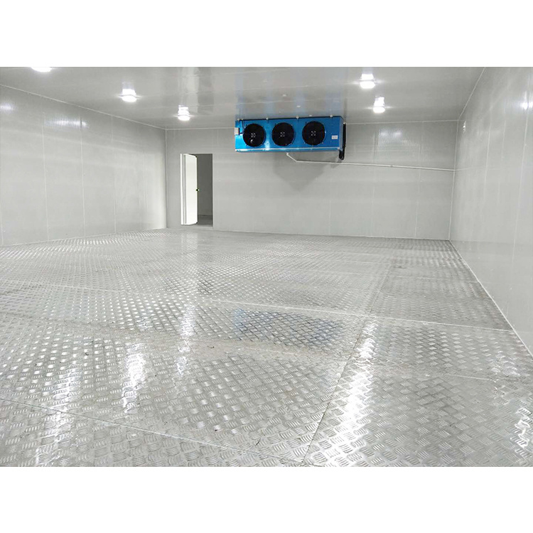 Frozen Foods Cold Storage Room Supplier in China