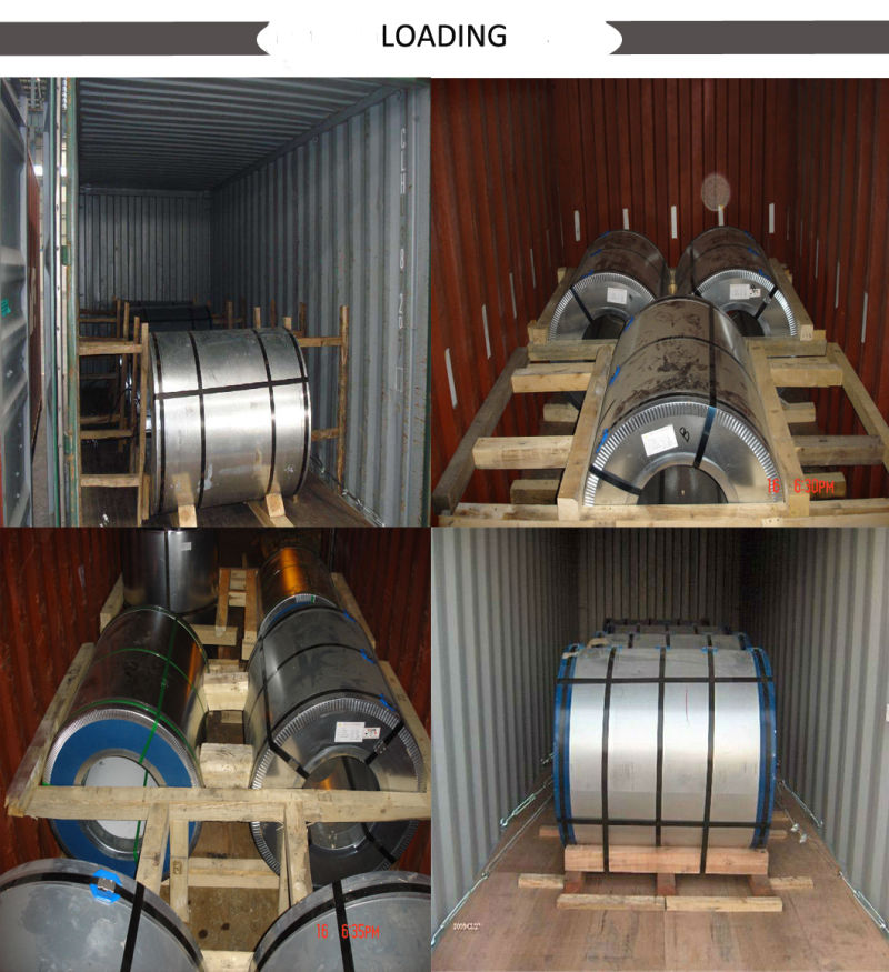 Carbon Steel Coil Hot Rolled Pickled and Oiled SPHC Coil