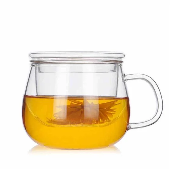 Glass Cup, Tea Mug, Heat Resistant Tea Cup with Handle and Cover