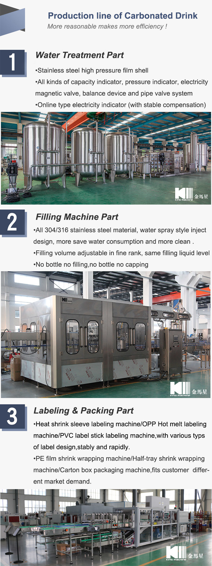 Bottled Carbonated Soft Soda Drink Processing Line