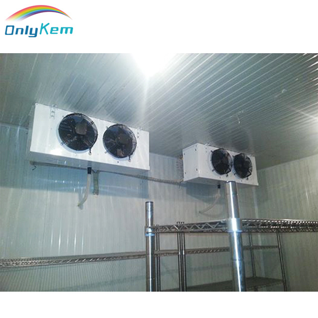Big/Large/Huge Cold Room Warehouse with Steel Construction