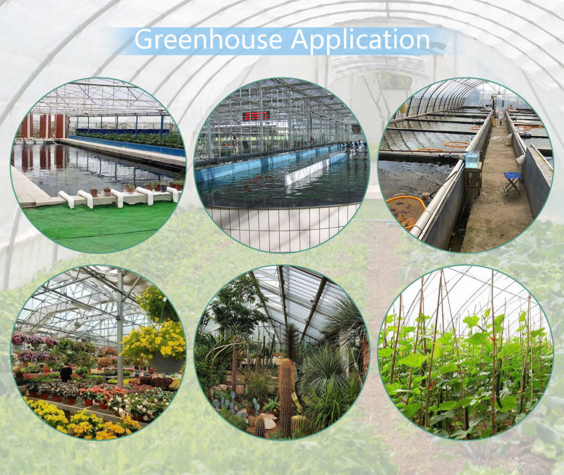 Agricultural Greenhouse Large Size Glass Tomato Greenhouse