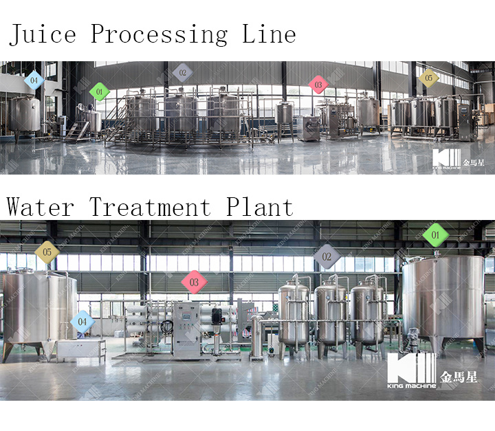 Bottled Orange / Mango Juice Bottling Equipment