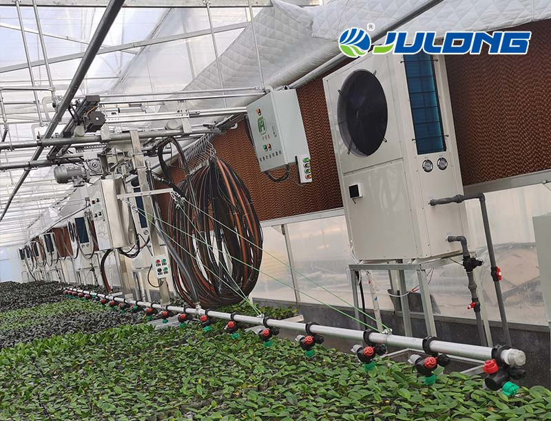 Modern Agriculture Technology Tomatoes Farming Greenhouse for Horticultural Projects